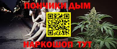 индика Новозыбков