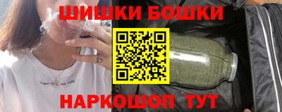 индика Новозыбков