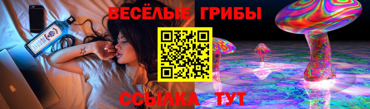 Псилоцибиновые грибы Cubensis Чусовой