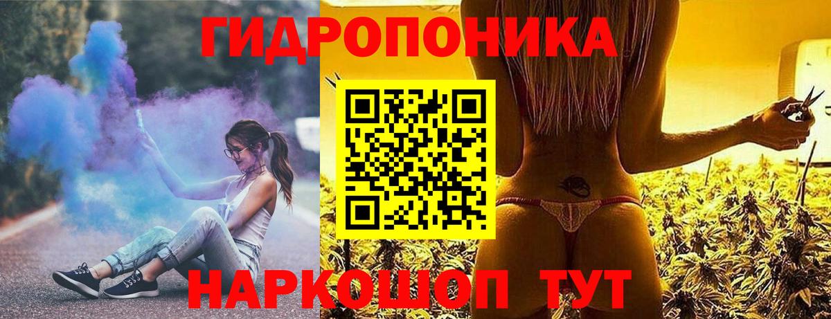 Каннабис индика Чусовой